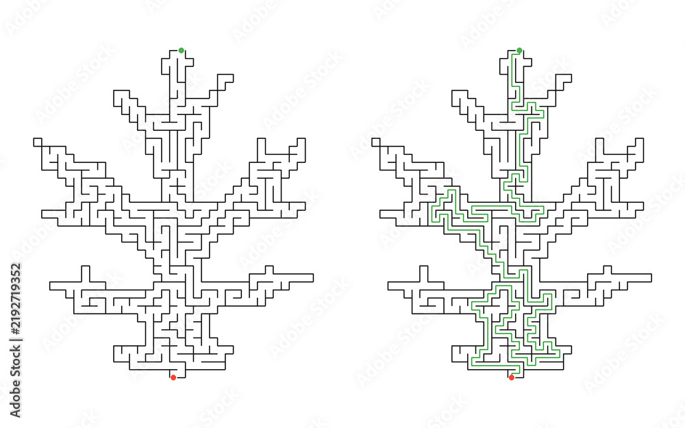 Obraz premium Maple leaf shaped maze puzzle with solution
