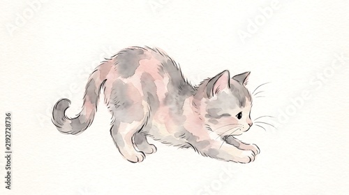 Gray and White Cat Lying Down