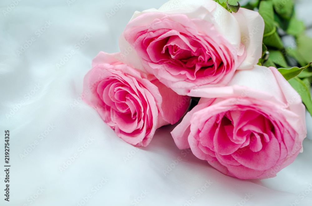 Fototapeta premium The branch of pink roses on white fabric backgrou 