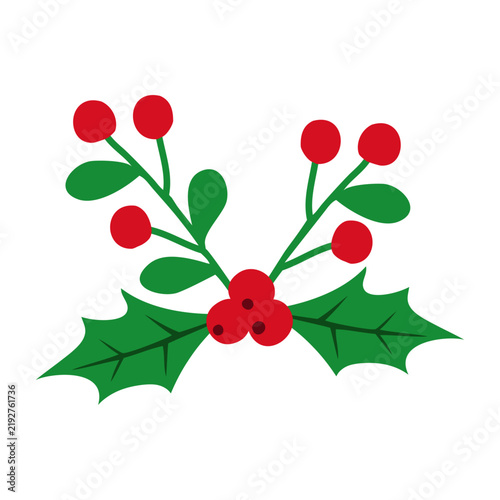 Decoración navideña. Ramas con hojas y bayas de muérdago o acebo para tarjetas y felicitaciones de Navidad
