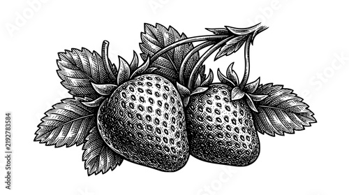 Detailed monochrome strawberry vector illustration featuring ripe berries with green foliage
