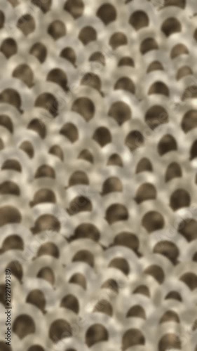 Abstract pattern of overlapping circles on textured surface. 2d animation