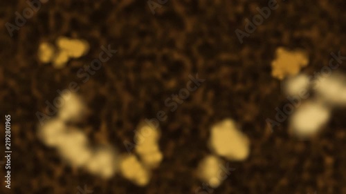 Golden abstract bokeh lights on dark background. 2d animation