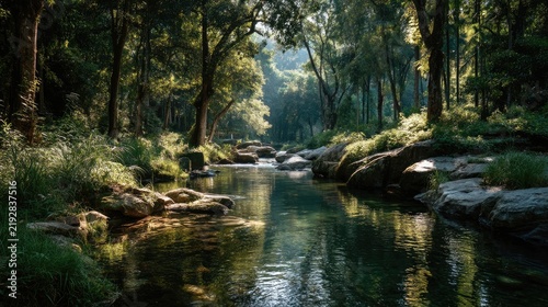 river flowing through dense green forest with sunlight reflections, clean water and sustainability concept 