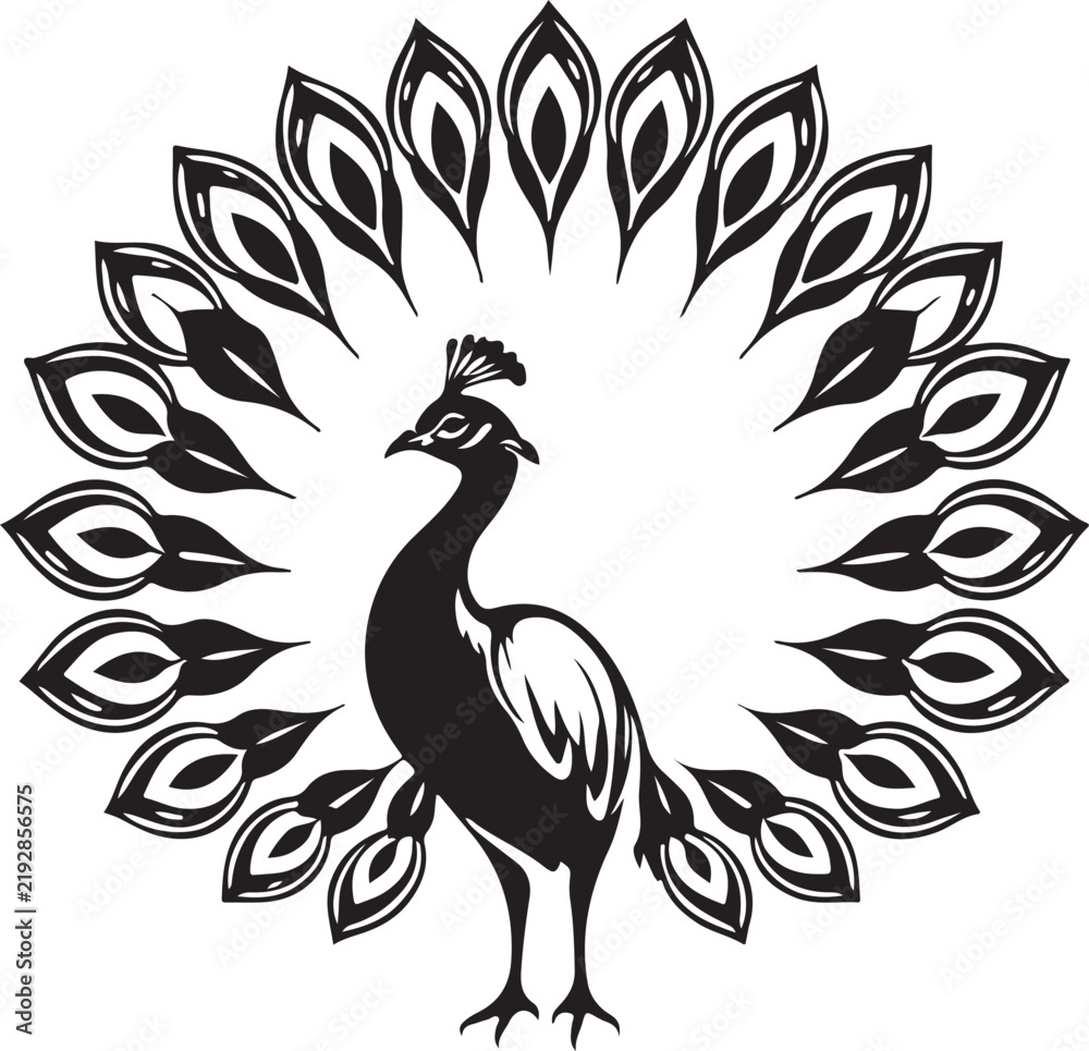 Fototapeta premium Elegant Peacock Bird Logo Vector Illustration with Ornamental Feathers, Decorative Tail and Botanical Style Design