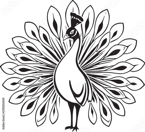 Elegant Peacock Bird Logo Vector Illustration with Ornamental Feathers, Decorative Tail and Botanical Style Design