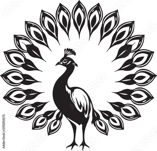 Elegant Peacock Bird Logo Vector Illustration with Ornamental Feathers, Decorative Tail and Botanical Style Design