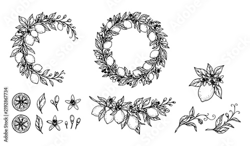 Hand Drawn Lemon Floral Wreaths and Botanical Decorative Vector Elements