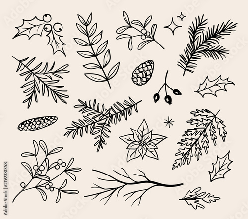 Vector set of hand drawn christmas themed illustrations of branches, leaves, pine cones, mistletoe, holly