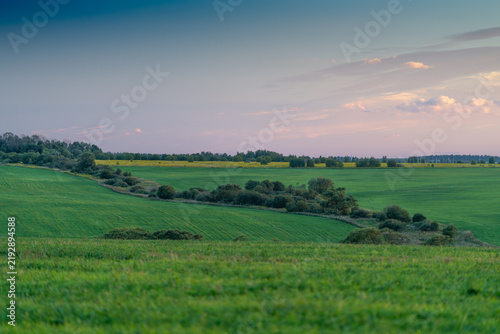Obraz na plátně Vast green landscape under a serene evening sky invites tranquility and peace