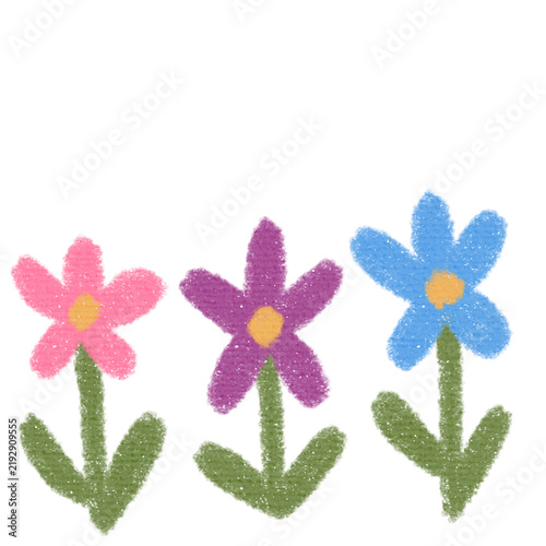 flowers on white background, flower illustration, crayon style of wildflowers