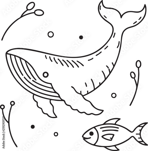 Marine life Dolphin 