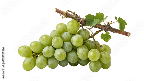Cuadro en lienzo Bunch of fresh green grapes on brown woody vine branch with lush green leaves fo