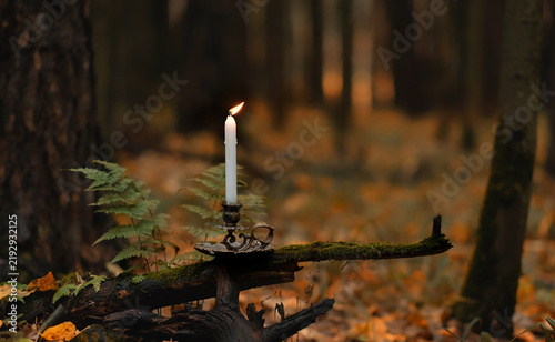 Принти на полотні candlestick with burning wax candle in autumn forest, dark abstract nature background