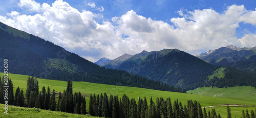 Green mountain meadow and pine forest under cloudy sky in an alpine valley