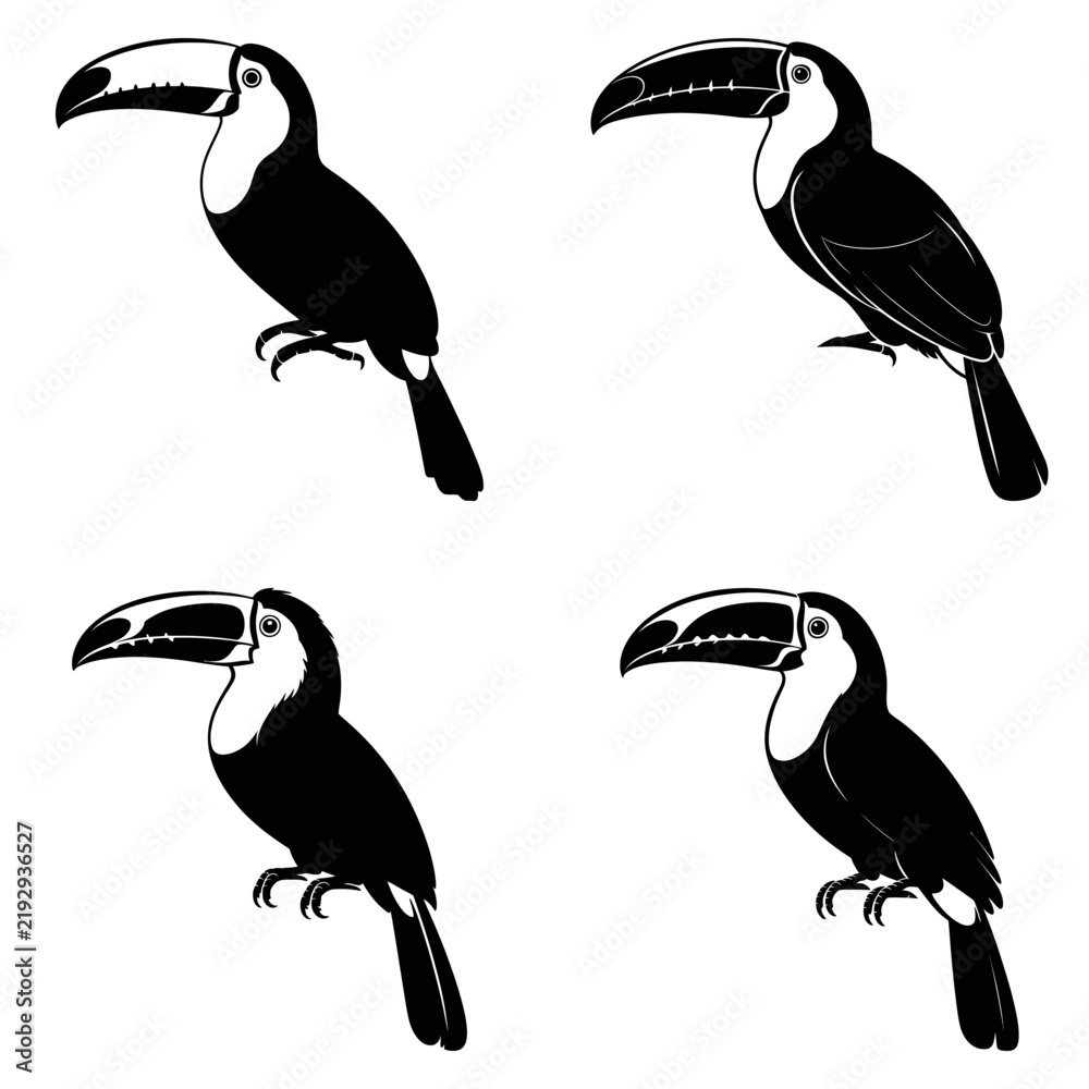 Fototapeta premium Toucan silhouettes showcase distinct perching poses against a white background silhouette