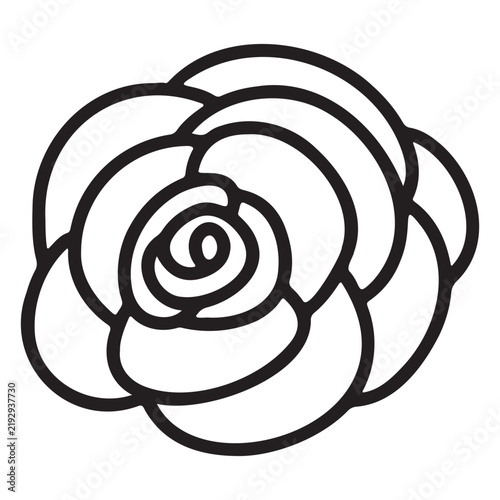 rose flower vector illustration