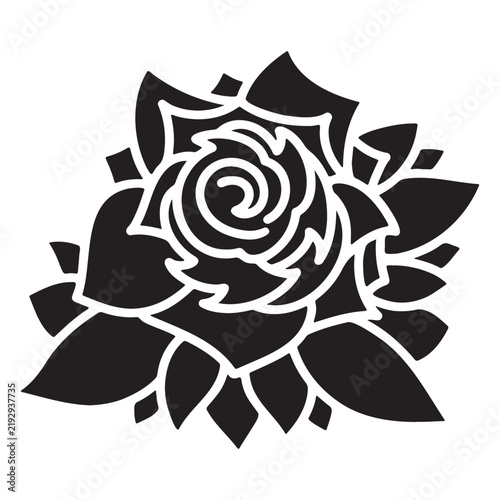 rose flower vector illustration
