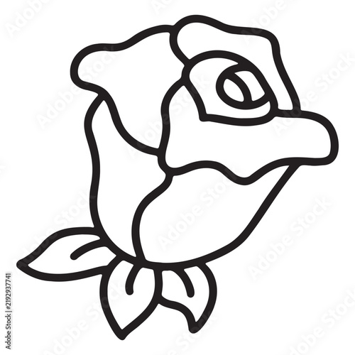 rose flower vector illustration