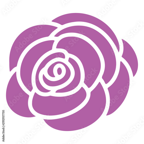 rose flower vector illustration