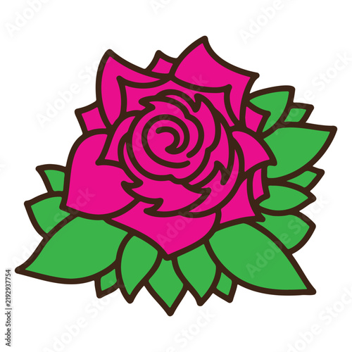 rose flower vector illustration