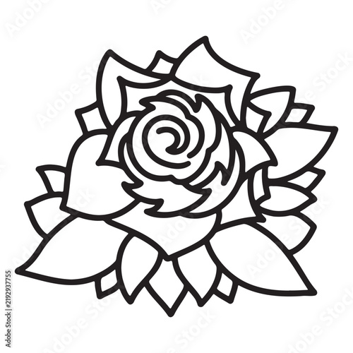 rose flower vector illustration