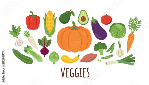 Fresh organic vegetables vector illustration collection with pumpkin tomato carrot and various healthy veggies isolated on white background