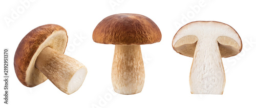 фотографія Porcini Mushroom (Boletus Edulis) Collection Isolated on Transparent Background