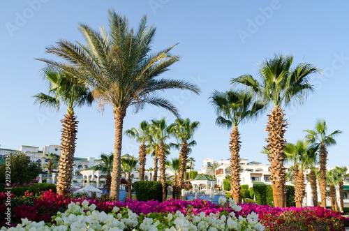 Foto Photo of a clear sunny morning