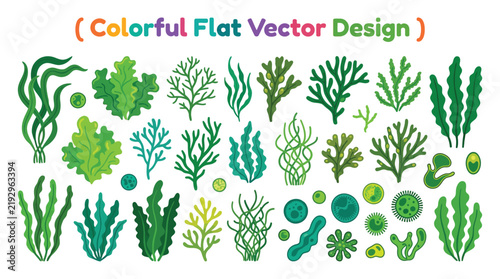 Bild auf Leinwand Assorted seaweed and algae vector illustration with vibrant green and teal tones