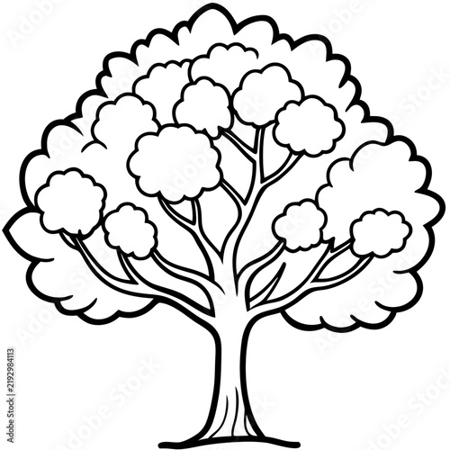 Walnut Tree line art vector