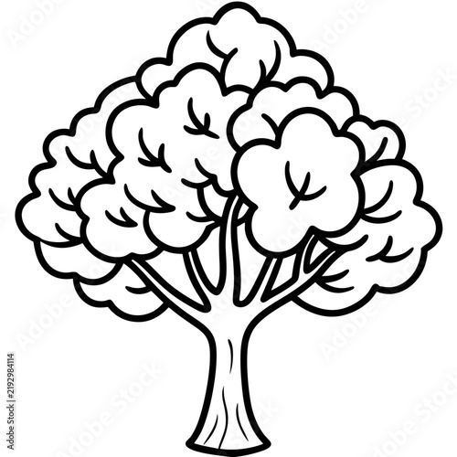 Walnut Tree line art vector