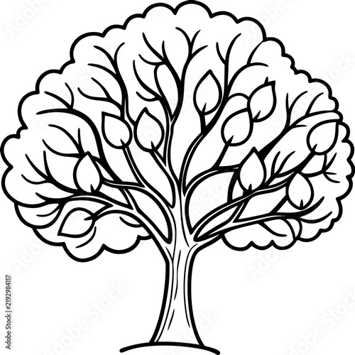 Walnut Tree line art vector