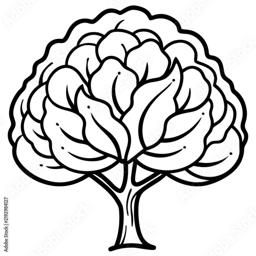 Walnut Tree line art vector