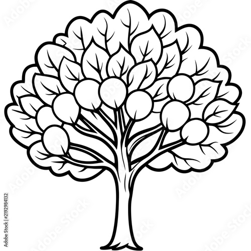 Walnut Tree line art vector