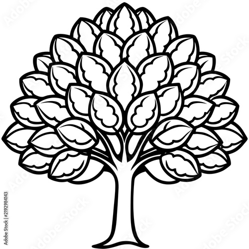 Walnut Tree line art vector