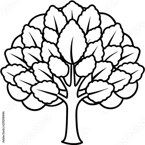 Walnut Tree line art vector