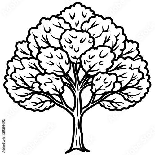 Walnut Tree line art vector