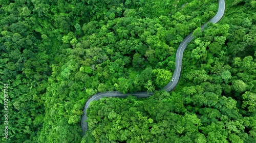 Aerial view of a winding forest road surrounded by dense tropical trees, representing ESG leadership, Sustainability Report, Annual Report, Green Finance, Net Zero Strategy, Carbon Credit initiatives