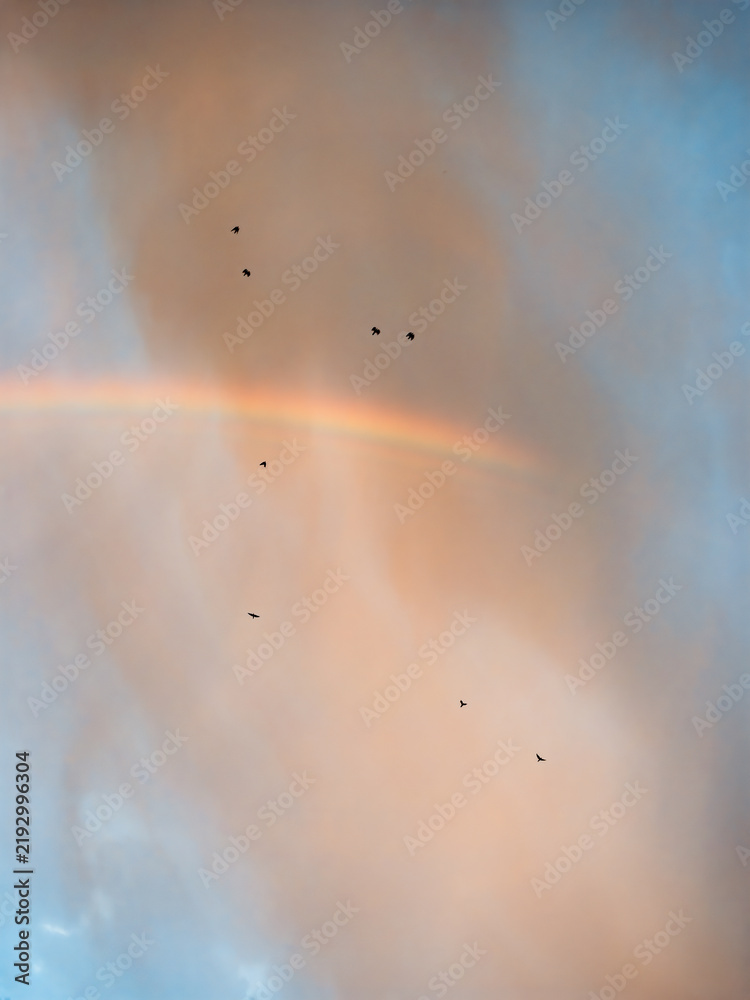 Fototapeta premium Faint Rainbow Beneath Dramatic Storm Clouds After Rain at Sunrise