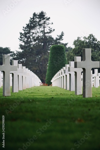 Obraz na płótnie Rows of Crosses at Normandy American Cemetery, France