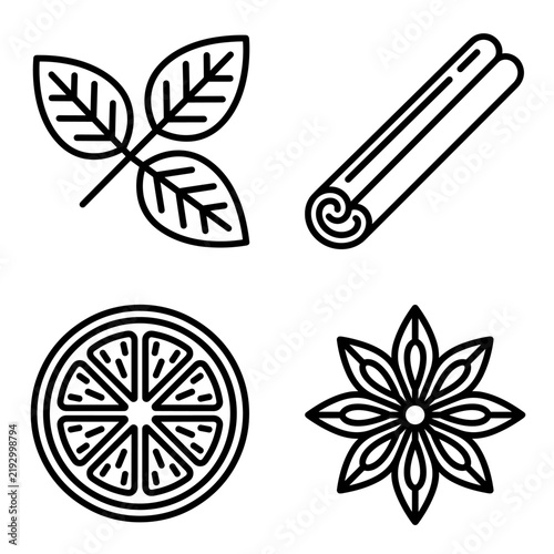Herbs Spices and Citrus Slice Icons Set Vector Illustration