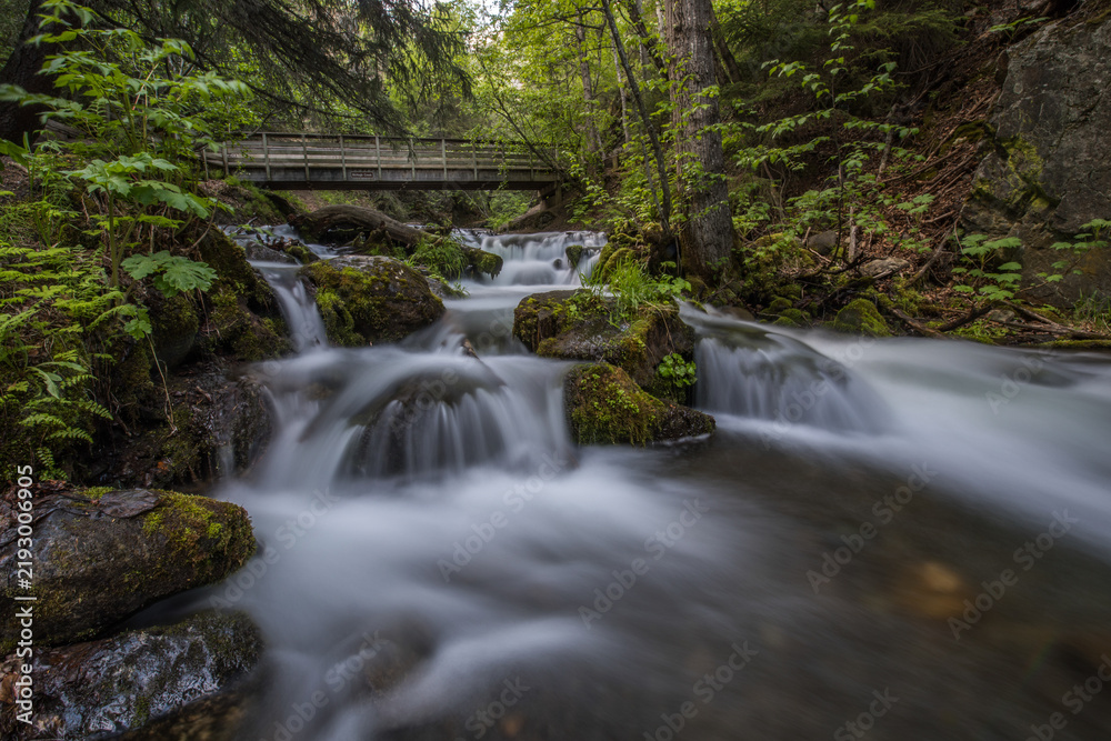 Fototapeta premium Long export of a mountain creek with rocks in a rainforest