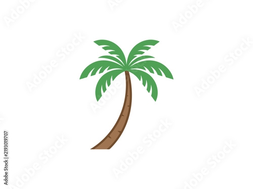 Tropical palm tree with green leaves and brown trunk isolated on white background