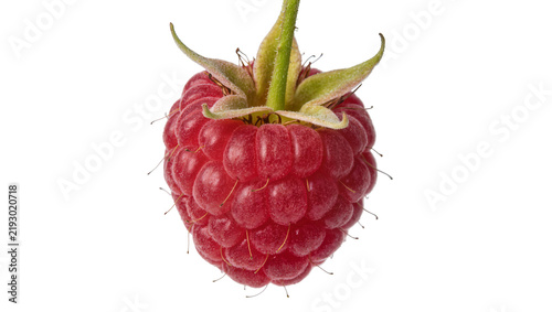 Fotografie Ripe red raspberry with green sepals, isolated on transparent background