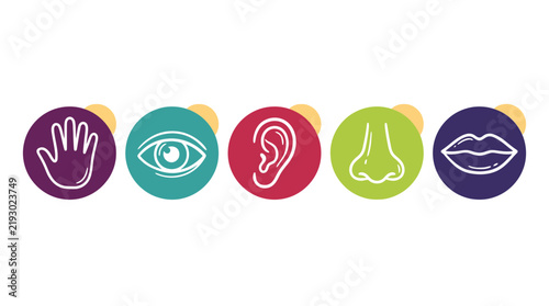 Five human senses icons representing touch, sight, hearing, smell and taste on colorful circles, perfect for educational materials, healthcare infographics and child development apps