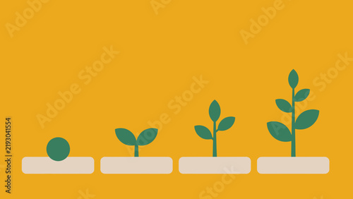Four stage plant growth sequence graphic from seed to leafy stem on mustard