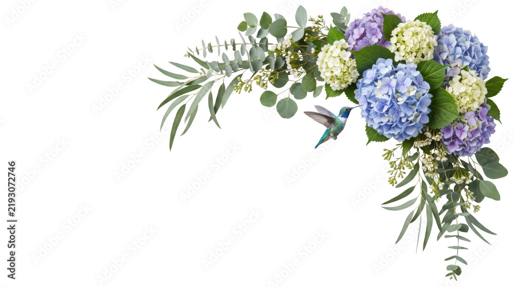 Fototapeta premium Beautiful arrangement of hydrangeas and greenery with hummingbird in flight, isolated on transparent background