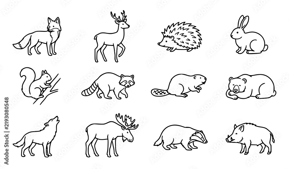 Fototapeta premium Set of cute hand drawn forest animals including fox deer hedgehog rabbit squirrel raccoon beaver bear wolf moose badger boar