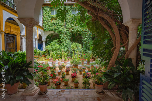 Patio con flores en Sevilla / Flower-Filled Courtyard in Seville / 花が並べられたセビリアの中庭